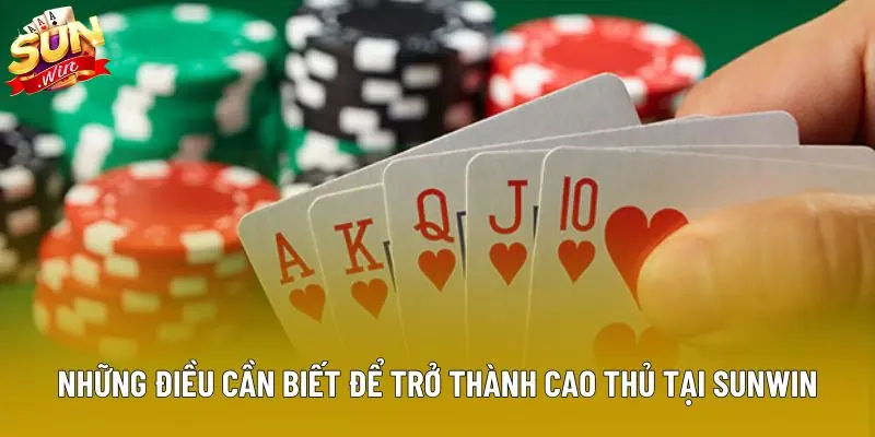 Những điều cần biết để trở thành cao thủ tại Sunwin Những điều cần biết để trở thành cao thủ tại Sunwin