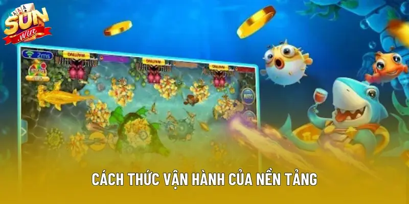 Cách thức vận hành của nền tảng