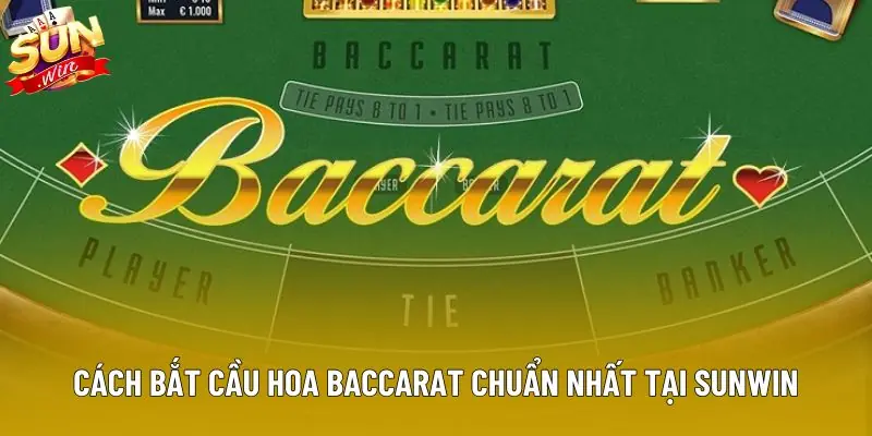 Cách bắt cầu hoa baccarat chuẩn nhất tại Sunwin